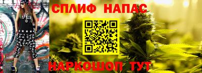 PSILOCYBIN Волгодонск