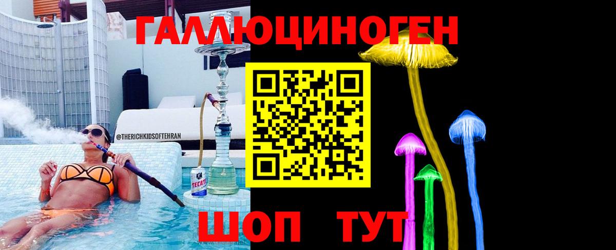 Псилоцибиновые грибы GOLDEN TEACHER Карабулак