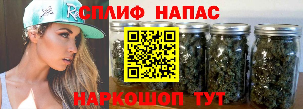 Канабис планчик Карабулак